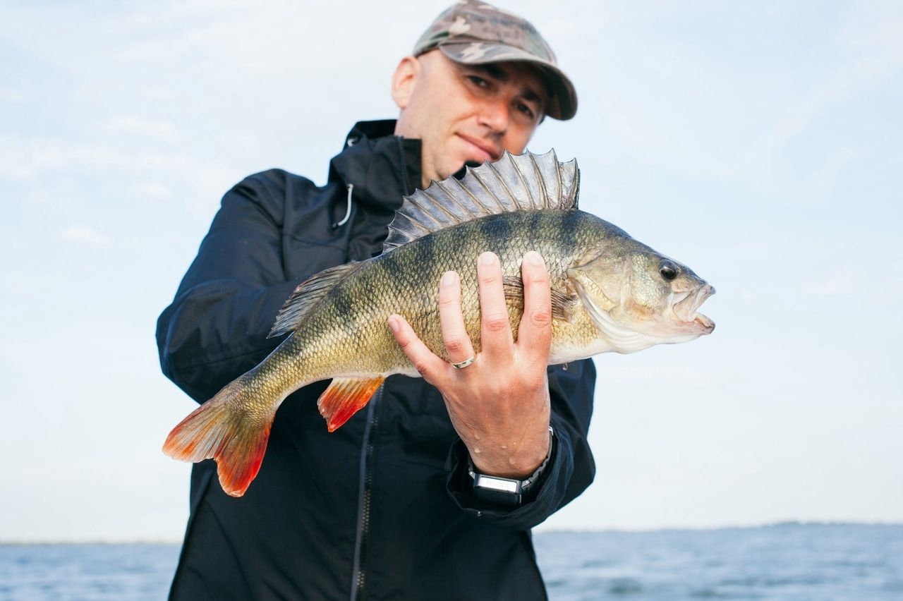 Fiske i Kroatia – Fiskekort, forskrifter og de beste stedene