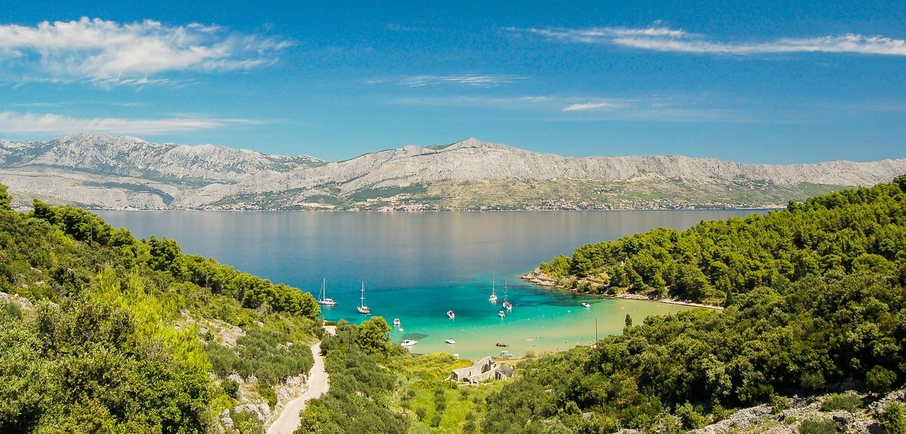 Bugt omkranset af pinjer med turkisblåt vand på øen Brač, med Biokovo-bjergene på fastlandet i baggrunden.