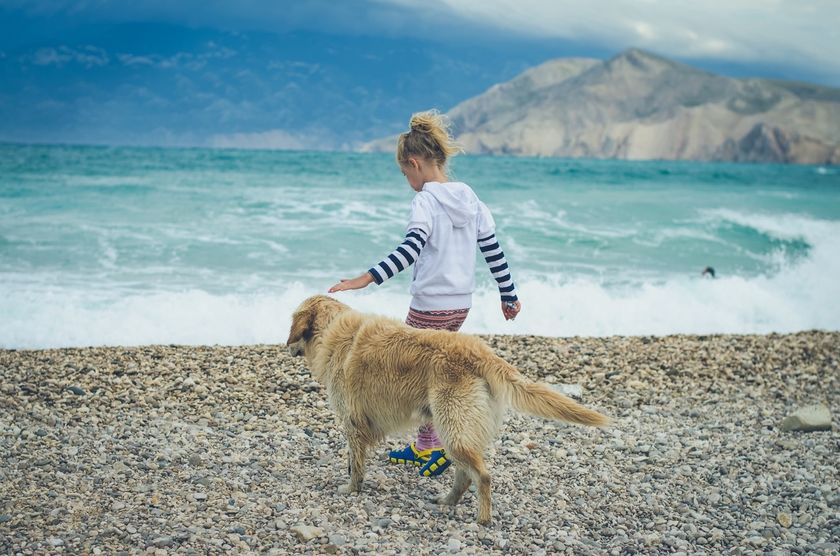 Ferienhäuser mit Hund in Kroatien